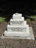 image of grave number 966112